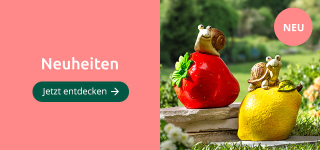 Neuheiten - jetzt entdecken!